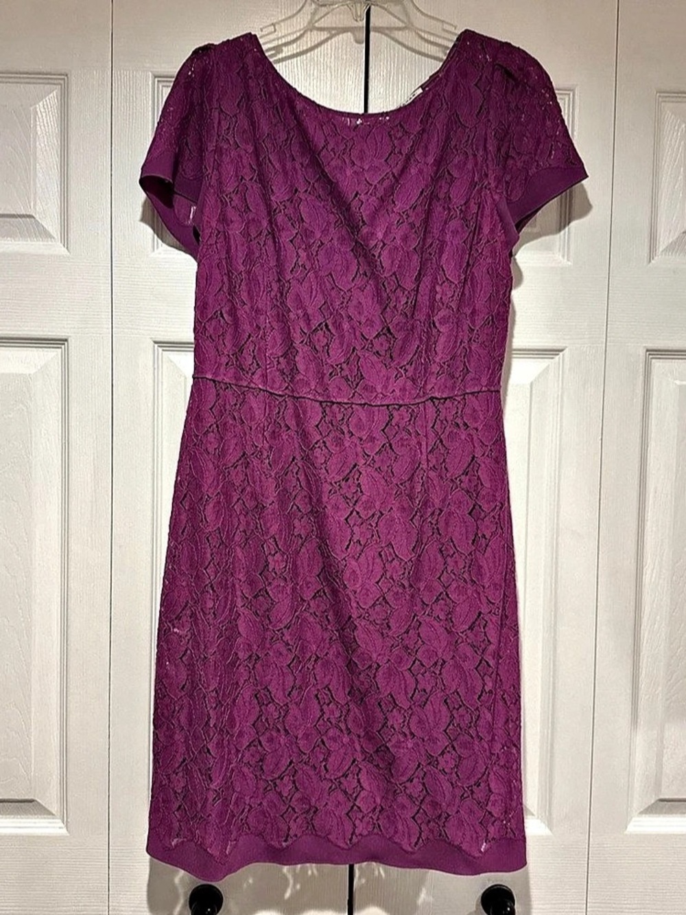 Elie Tahari Lace Mini Dress in Purple Size 12 Like New
